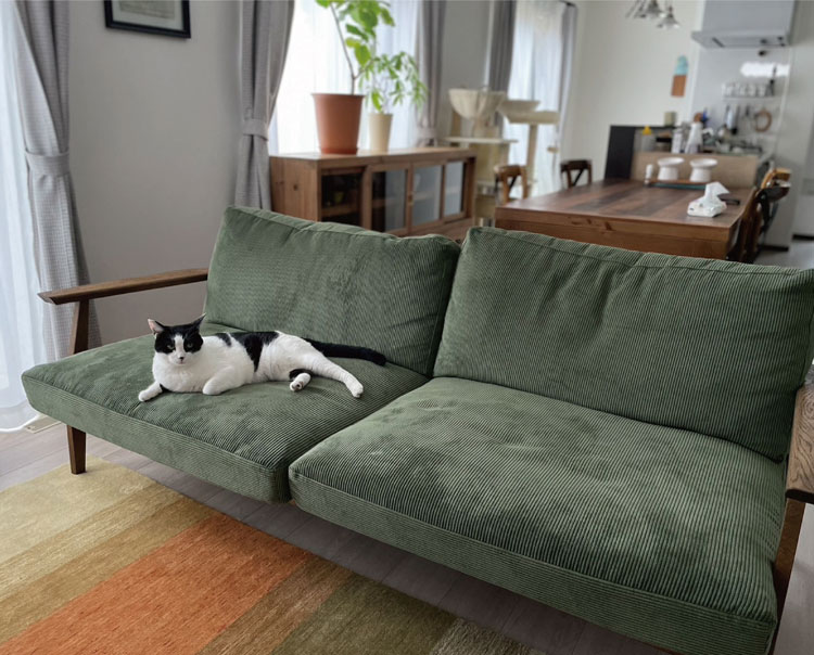 オーカーソファの写真