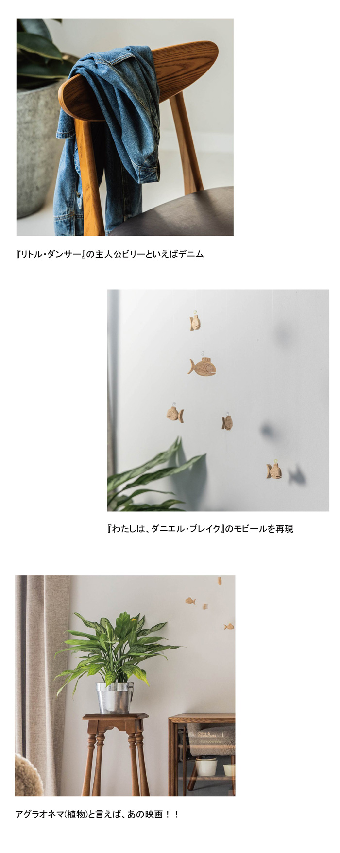 映画愛があふれる部屋の雑貨や植物のディスプレイ