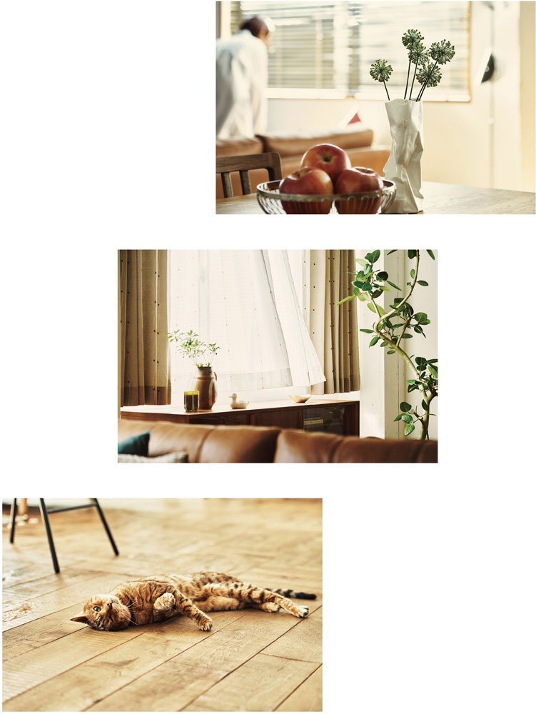 春スタイメージ1