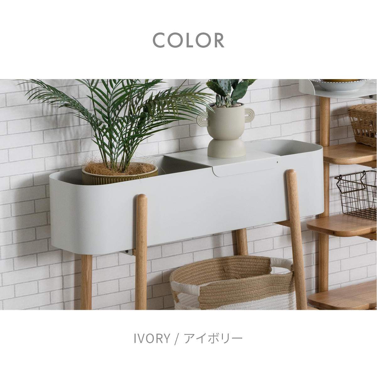 アスピ プランター