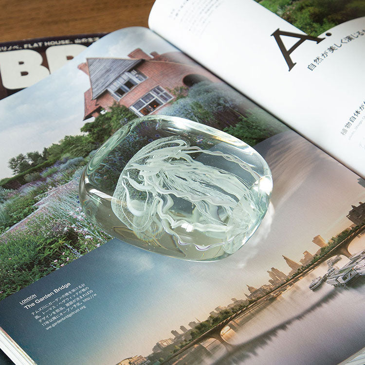 ジェリーフィッシュ スクエア ホワイト