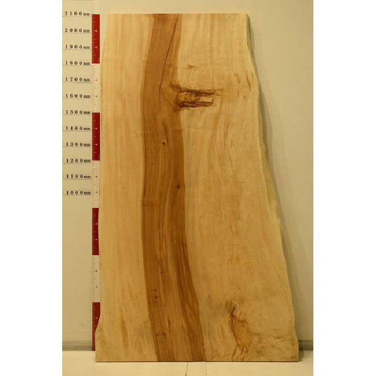 【SOLD OUT】一枚板　トチ　CN-892　(W210cm)　アウトレット品