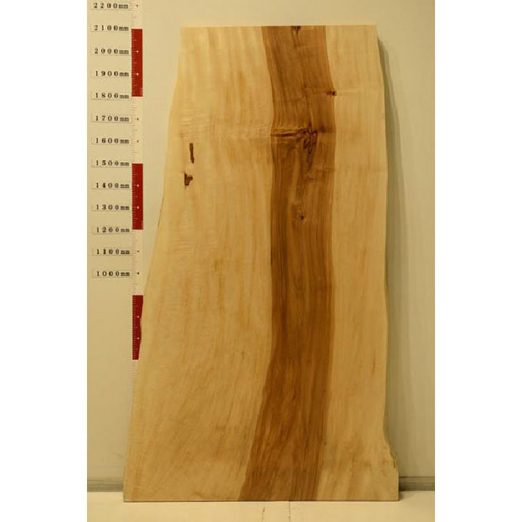 【SOLD OUT】一枚板　トチ　CN-892　(W210cm)　アウトレット品