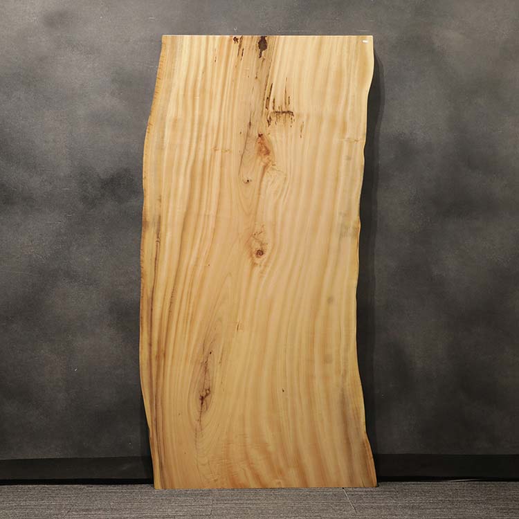 一枚板　クス / 楠　5441-9　(W180cm)