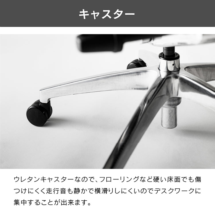 エルゴヒューマン エンジョイⅡ ロータイプ