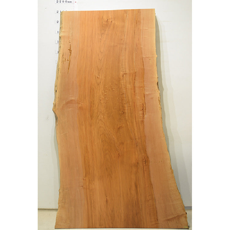 【SOLD OUT】一枚板　ビッグリーフメープル　M1-14-1　(W210cm)　アウトレット品