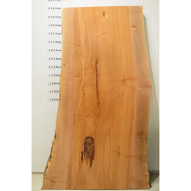 【SOLD OUT】一枚板　ビッグリーフメープル　M1-14-1　(W210cm)　アウトレット品
