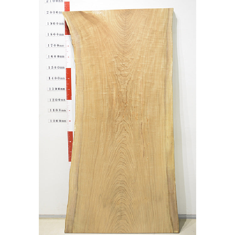 【SOLD OUT】一枚板　セン/ 栓(杢)　HN-2066-2904　(W200cm)