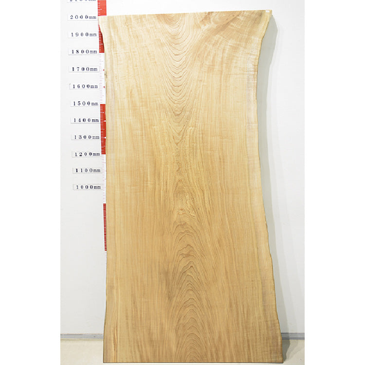 【SOLD OUT】一枚板　セン/ 栓(杢)　HN-2066-2904　(W200cm)