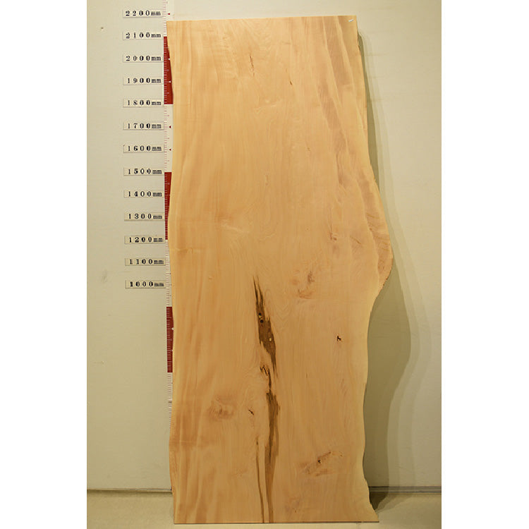 【SOLD OUT】一枚板　トチ　CN-1022-2905　(W215cm)　アウトレット品