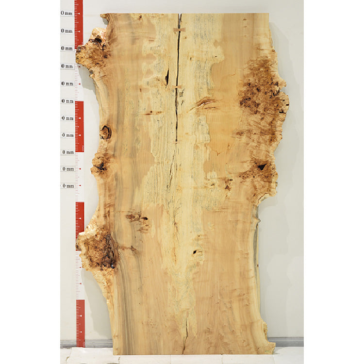 【SOLD OUT】一枚板　ポプラ　CN-6-7-2801-2　(W200cm)　アウトレット品