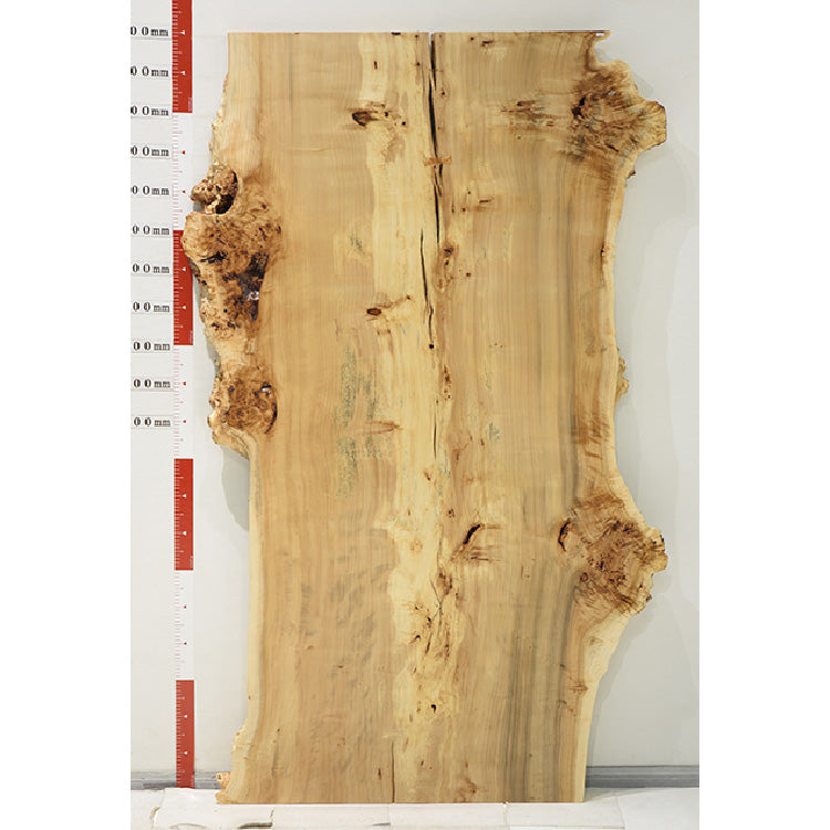 【SOLD OUT】一枚板　ポプラ　CN-6-7-2801-2　(W200cm)　アウトレット品