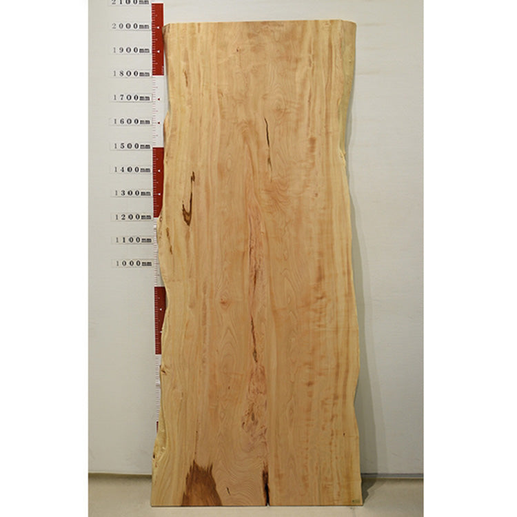 【SOLD OUT】一枚板　トチ　CN-C960-2911　（W200.4cm）
