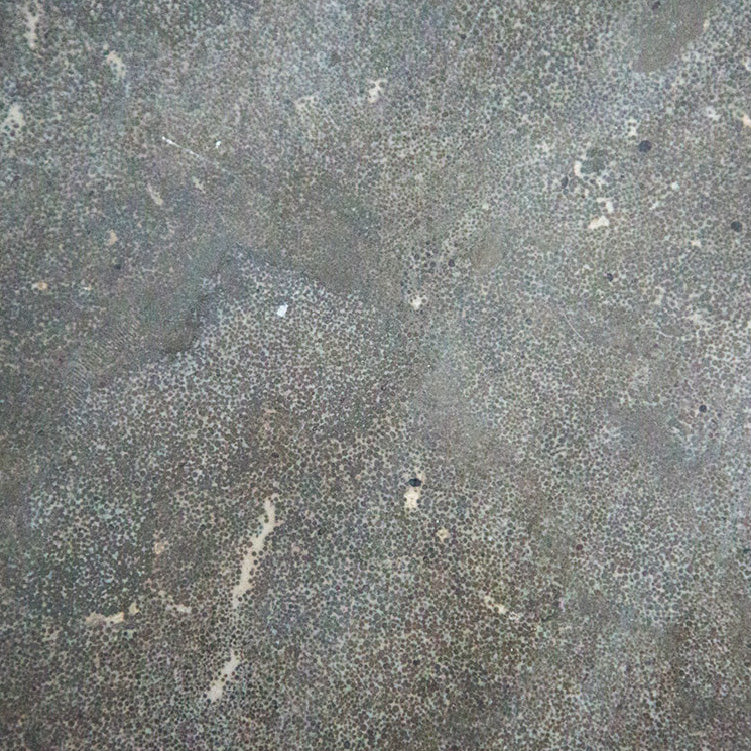 バーク リビングテーブル