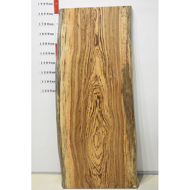 【SOLD OUT】一枚板　ゼブラウッド　512-2/2-3　(W185cm)　アウトレット品