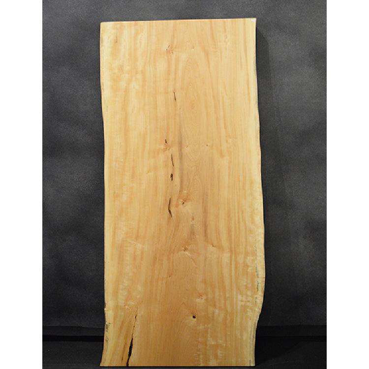 【SOLD OUT】一枚板　トチ　UM-T5-3006　(W180cm)　アウトレット品