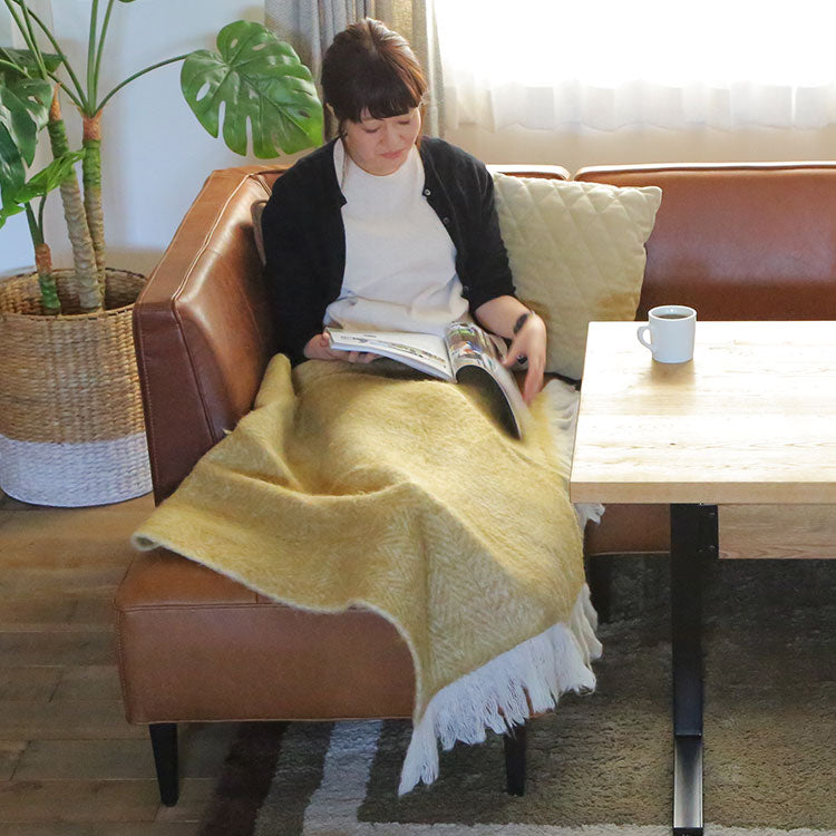 トリムソファ 2人掛け左肘