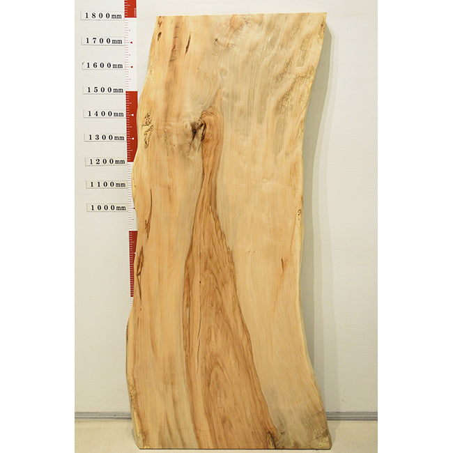 【SOLD OUT】一枚板　トチ　1024-5　(W180cm)　アウトレット品　ダイニングテーブル