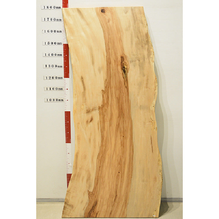 【SOLD OUT】一枚板　トチ　1024-5　(W180cm)　アウトレット品　ダイニングテーブル