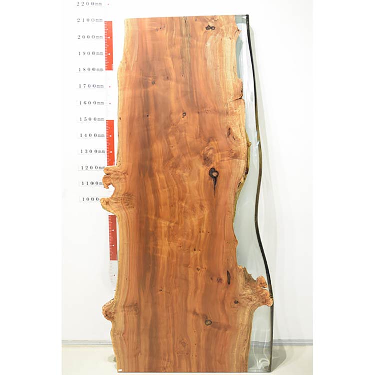 RESIN　ウイローコブ　P13-2-1　(W210cm)