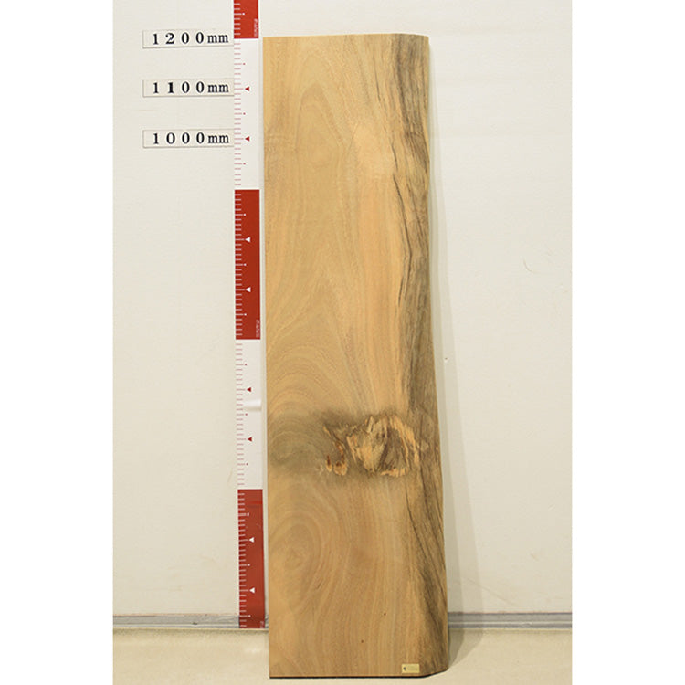 【SOLD OUT】一枚板　TV棚板　クス　151-1-2　(W120cm)　テレビボード