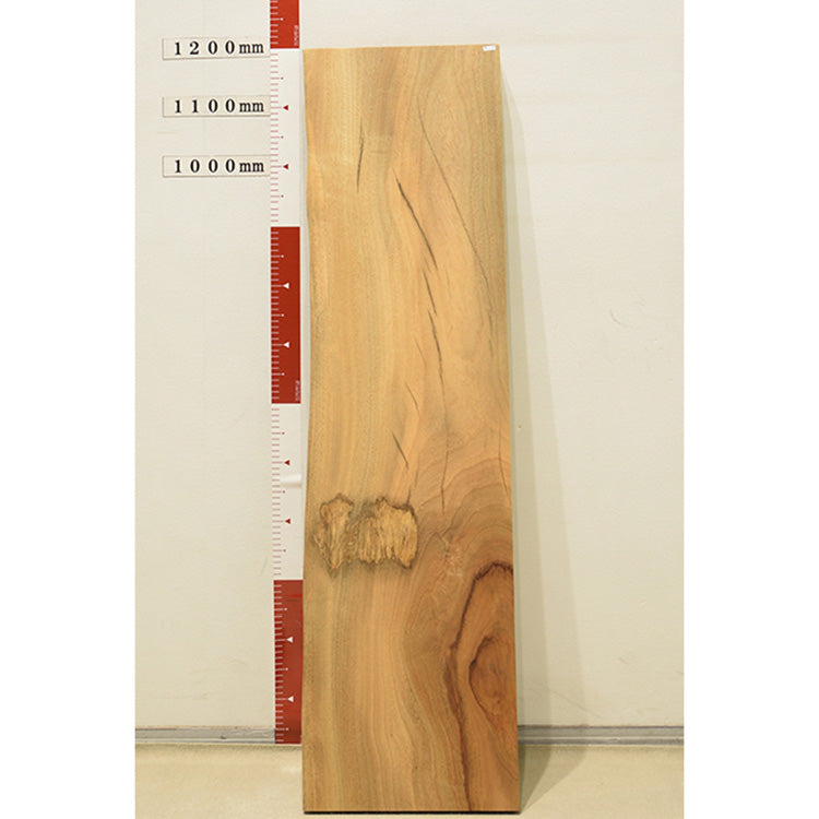 【SOLD OUT】一枚板　TV棚板　クス　151-1-2　(W120cm)　テレビボード