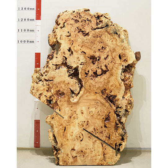 【SOLD OUT】一枚板　ポプラコブ　KG-1-2　(W110cm)　アウトレット品　ローテーブル