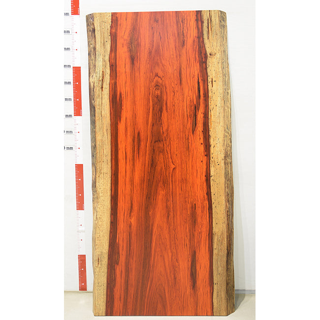 【SOLD OUT】一枚板　パドック　1004-1/2-14-2　(W180cm)　アウトレット品