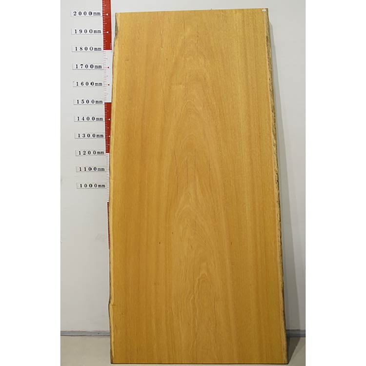一枚板　モビンギ　131029-3701-3　(W200cm)　アウトレット品　ダイニングテーブル