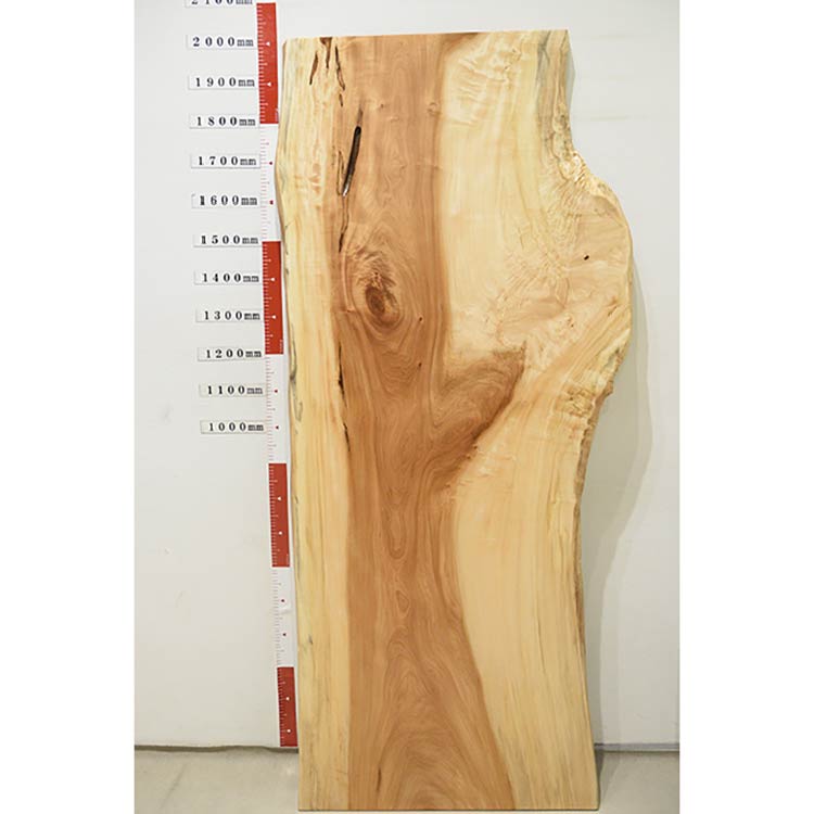 【SOLD OUT】一枚板　トチ　1200-4　(W200cm)　アウトレット品