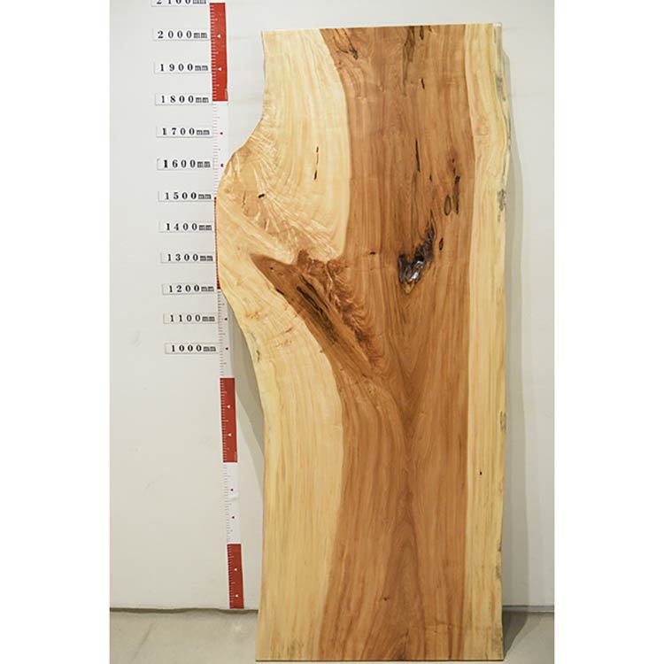 【SOLD OUT】一枚板　トチ　1200-4　(W200cm)　アウトレット品