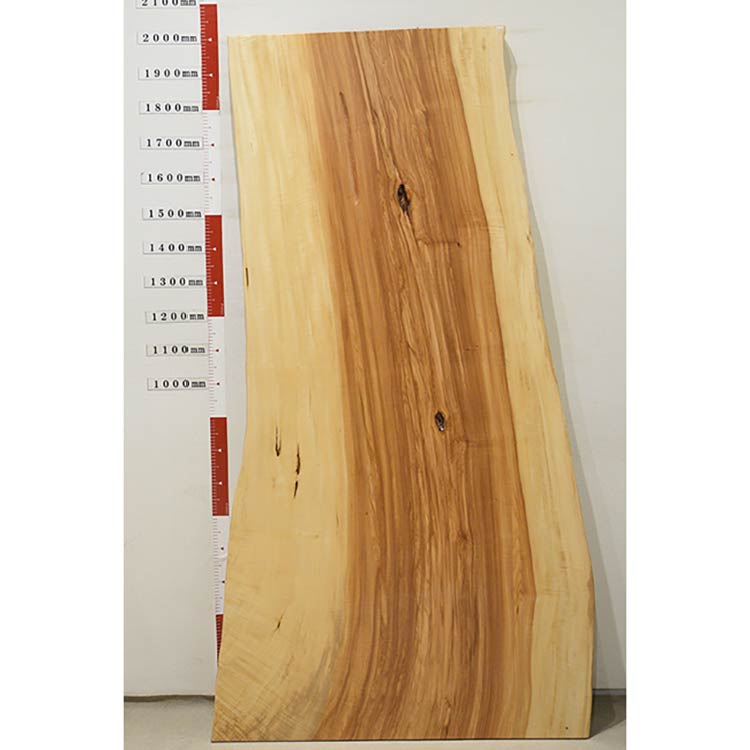 【SOLD OUT】一枚板　トチ　1208-4　(W200cm)　アウトレット品