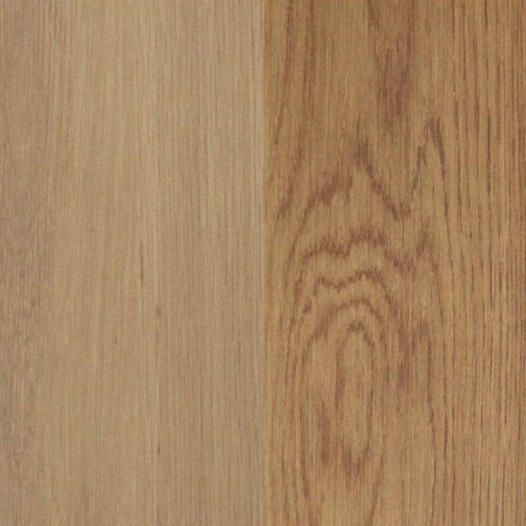 コンベックスⅡ ベンチ