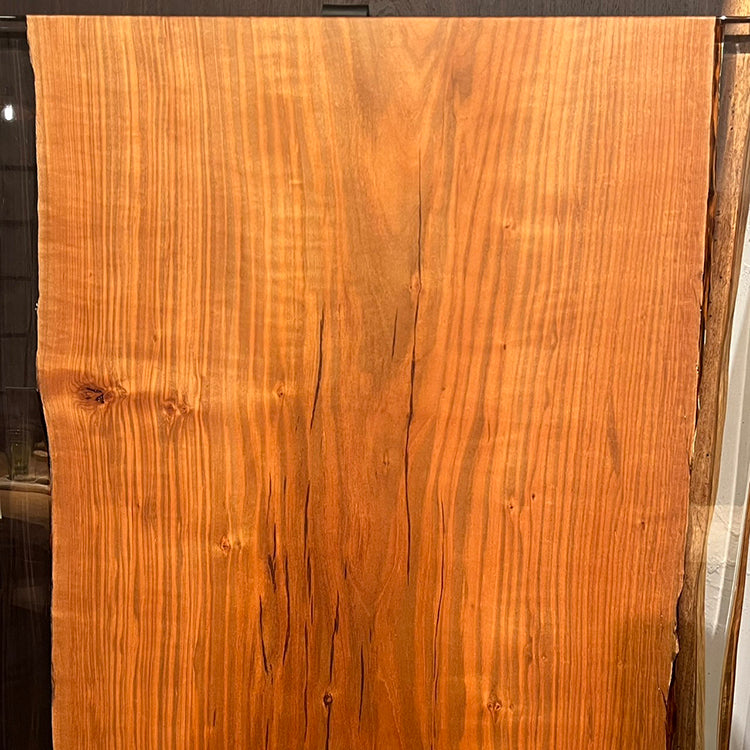 RESIN　サクラ　40-1-1　(W150cm)