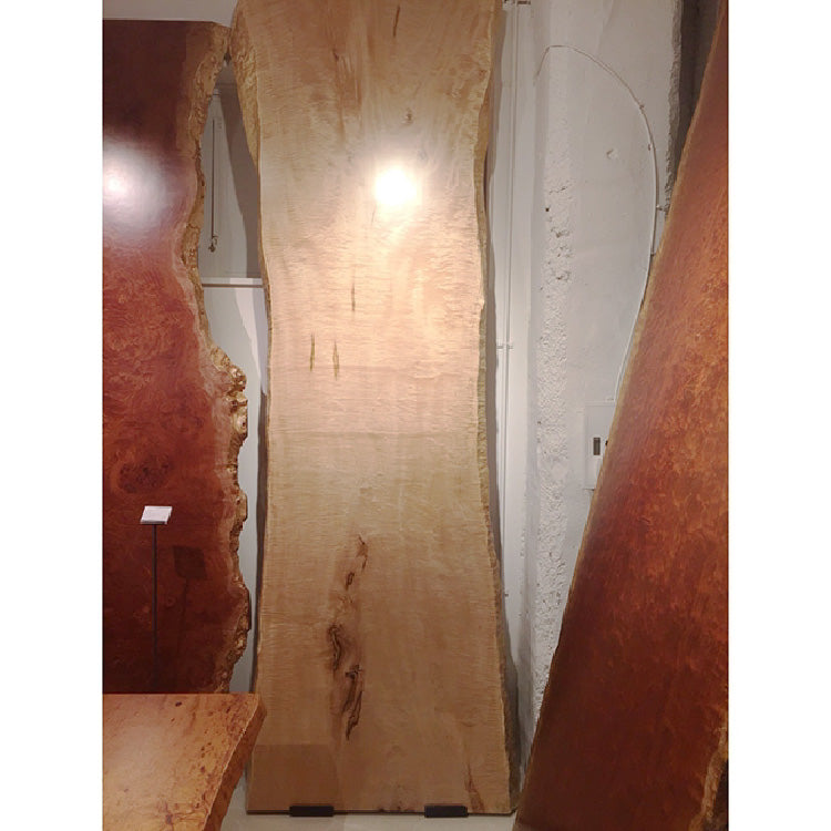 【SOLD OUT】一枚板　トチ　D-549　（W300cm）　ダイニングテーブル
