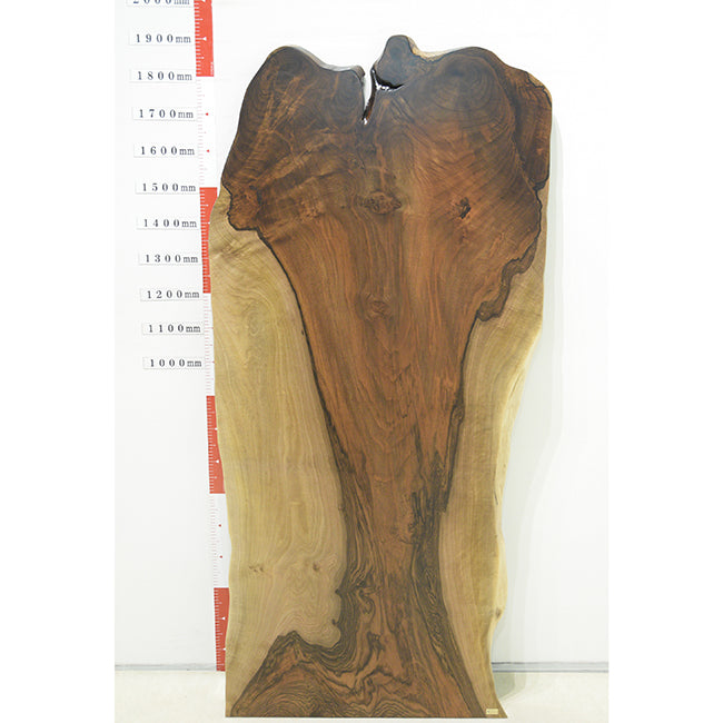 【SOLD OUT】一枚板ヨーロピアンウォールナットBQ-5-56(W190cm)　アウトレット品