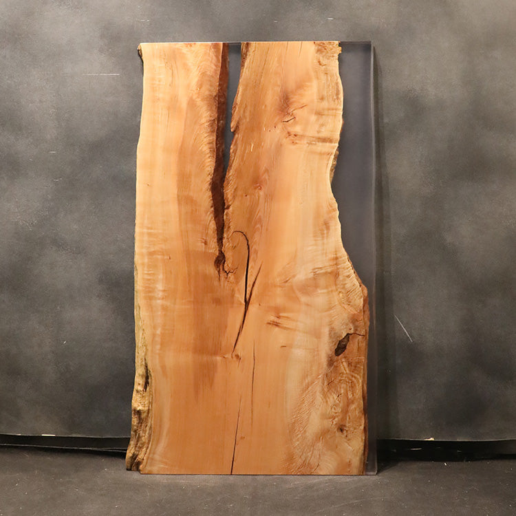 【SOLD OUT】RESIN　ビッグリーフメープル　337-5-2　(W160cm)