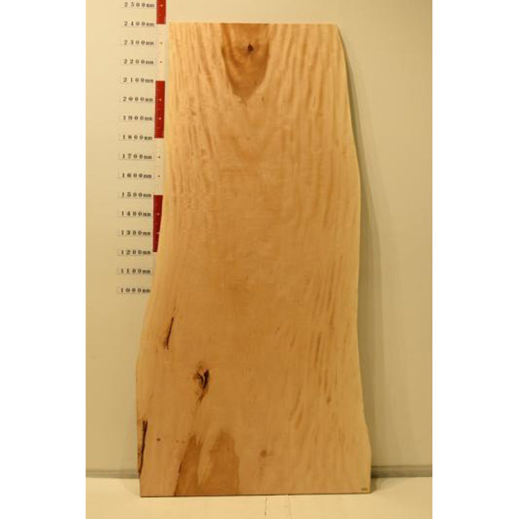 【SOLD OUT】一枚板　トチ　RP-UM-0216-16　(W240cm)　ダイニングテーブル