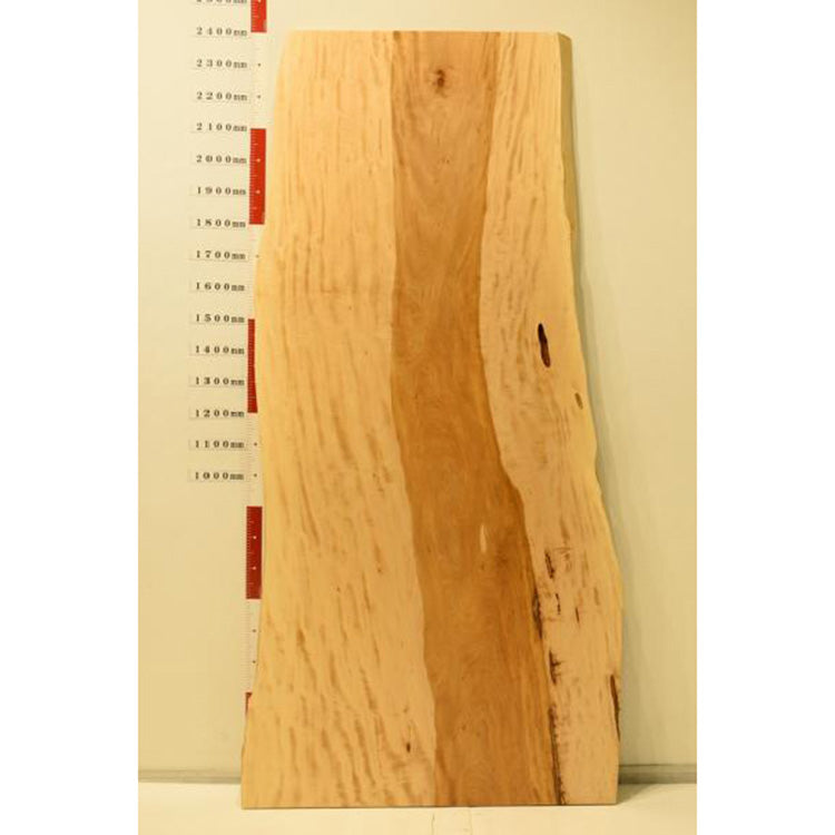【SOLD OUT】一枚板　トチ　RP-UM-0216-16　(W240cm)　ダイニングテーブル