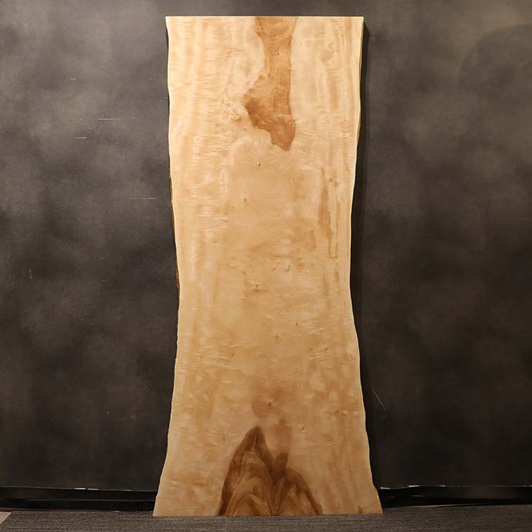 一枚板　トチ / 栃(杢)　K-HN-2303-903　(W240cm)