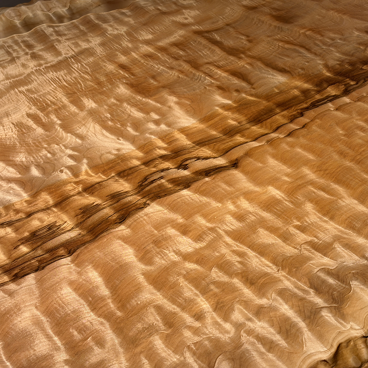 一枚板　トチ / 栃(杢)　K-HN-2304-945　(W220cm)