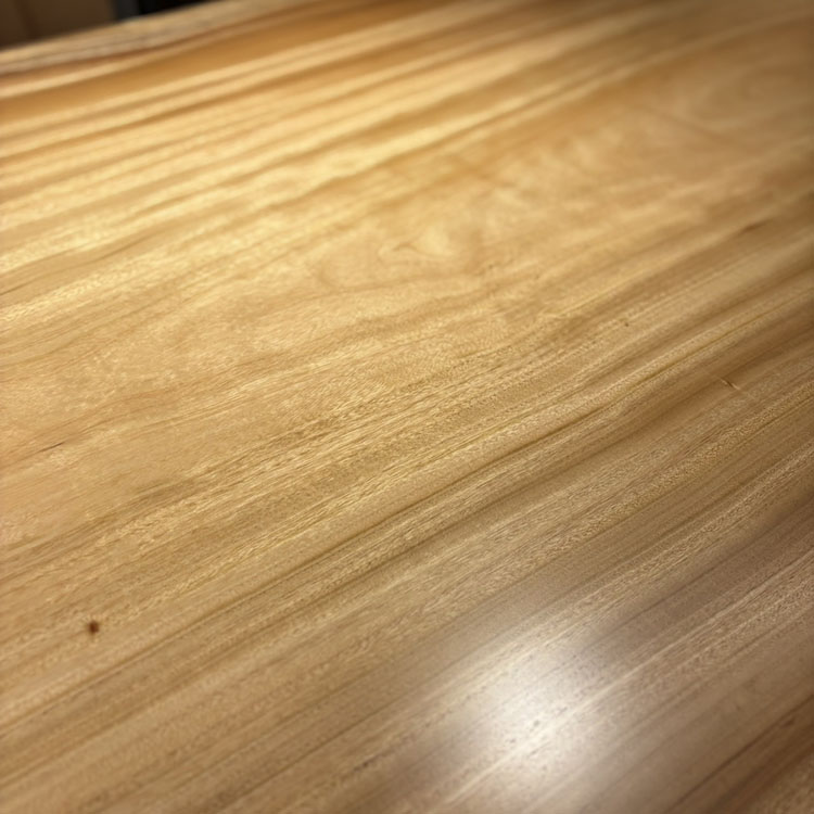 一枚板　クス / 楠　K-HN-2306-427　(W200cm)