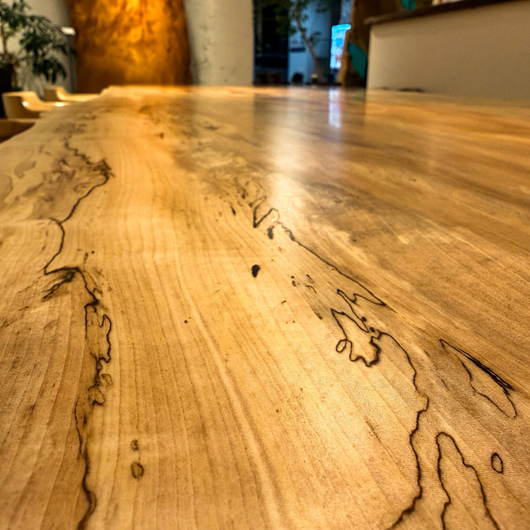 一枚板　トチ / 栃　K-GM-2306-221　(W390cm)