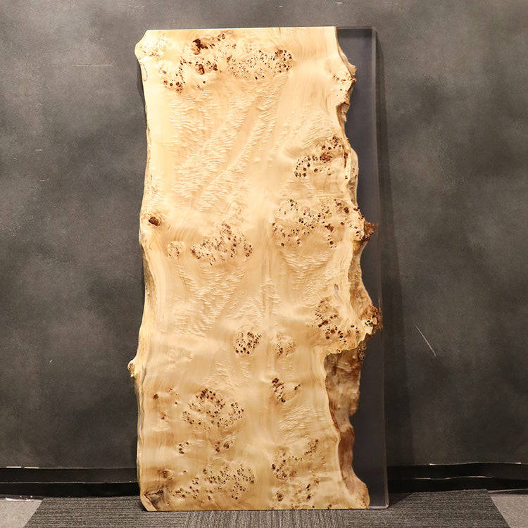 【SOLD OUT】RESIN　ポプラ　130-3　(W160cm)