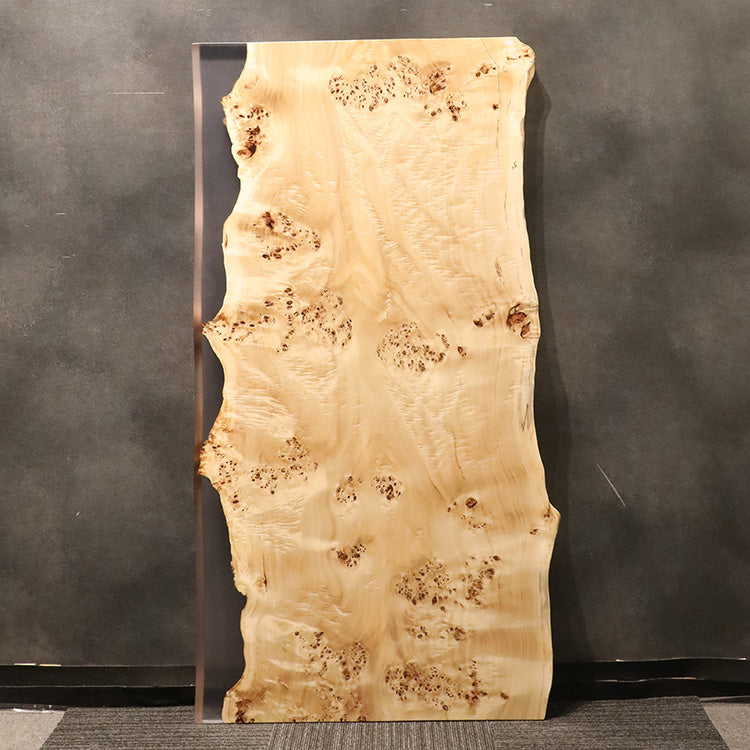 【SOLD OUT】RESIN　ポプラ　130-3　(W160cm)