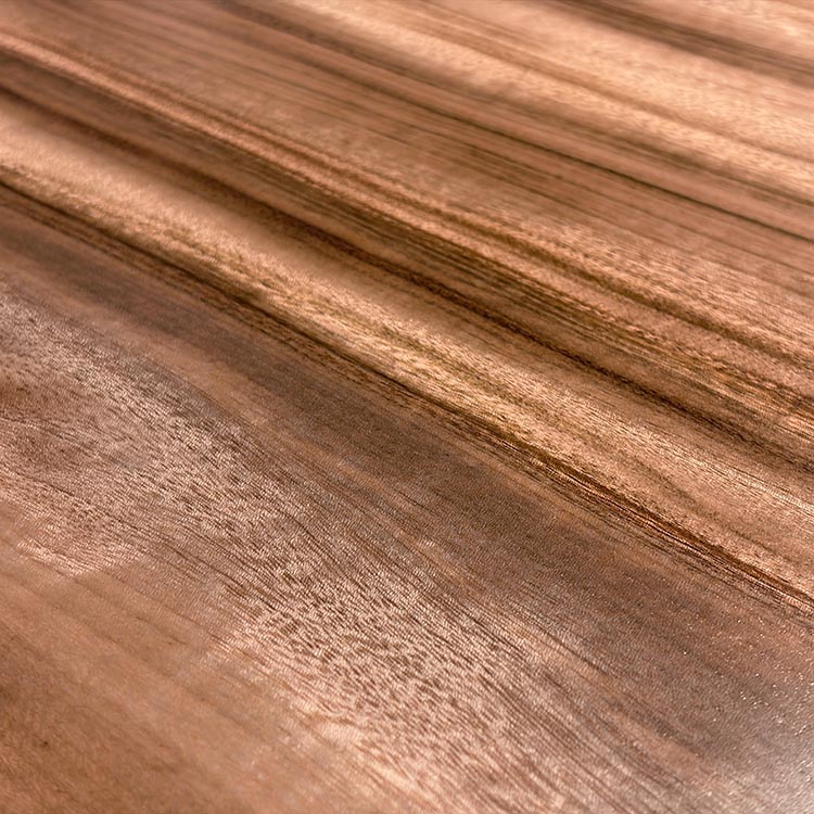 一枚板　クス / 楠(杢)　6102-5　(W250cm)