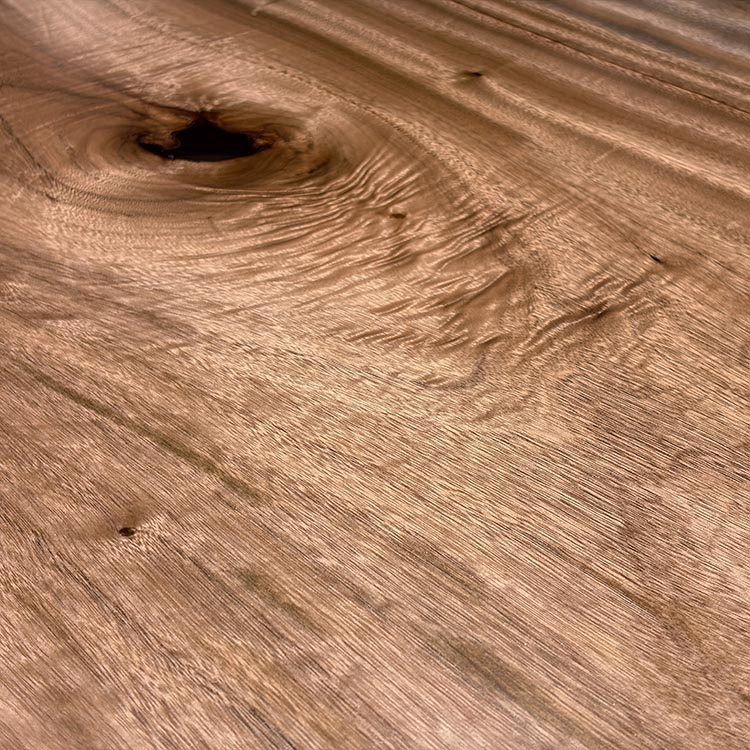 一枚板　クス / 楠(杢)　6102-5　(W250cm)