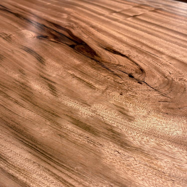 一枚板　クス / 楠(杢)　6102-5　(W250cm)