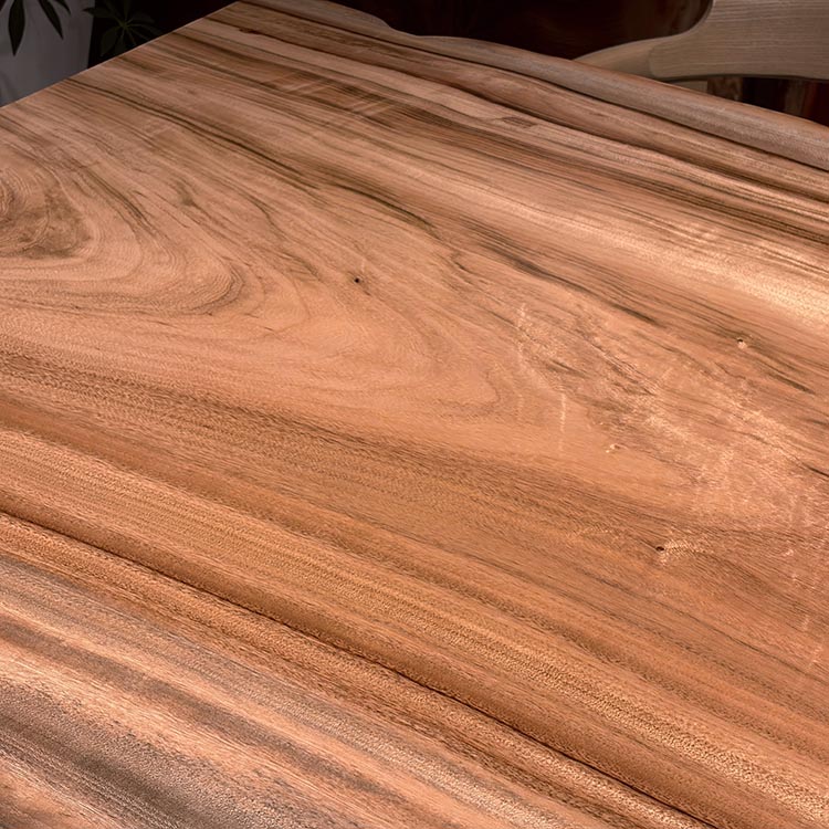 一枚板　クス / 楠(杢)　6102-5　(W250cm)