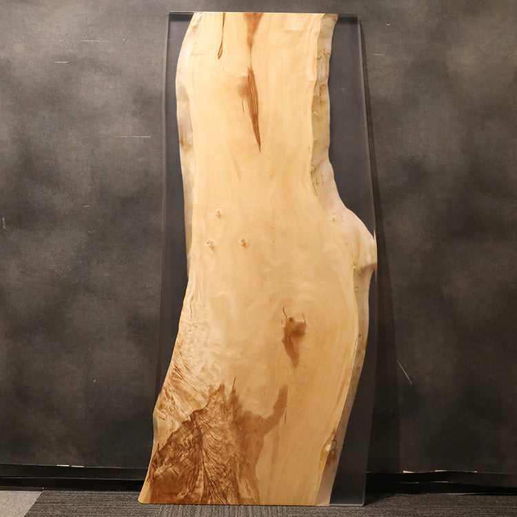 【SOLD OUT】RESIN　トチ　323-2　(W200cm)